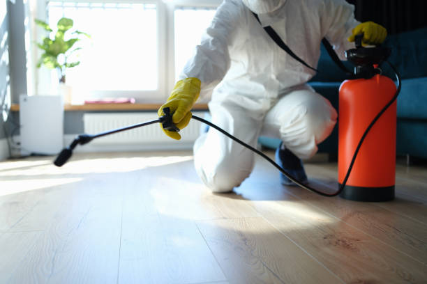 Reliable Infectious Disease Decontamination contractor in Cambria, CA by Crime Scene Cleaner Online